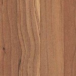thumbs_4449-sapwood-150x150